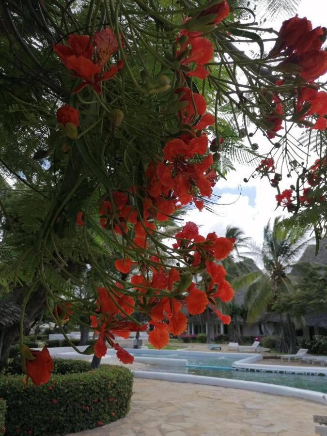 Coral Key Villa Malindi Exteriör bild